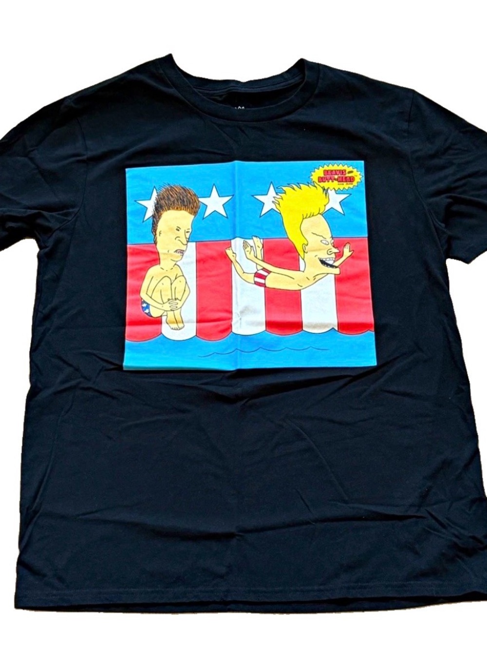 Black Graphic Beavis and Butt-Head Short Sleeve T-Shirt